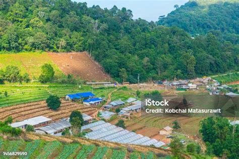 pemandangan alam  bahasa thailand foto stok  gambar