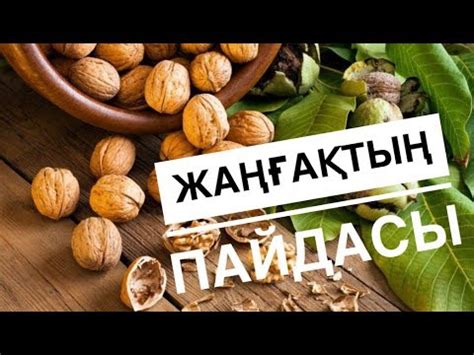 Жаңғақтың пайдасы - YouTube