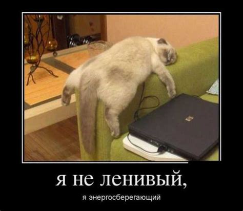 Всем спать картинка – Ой!