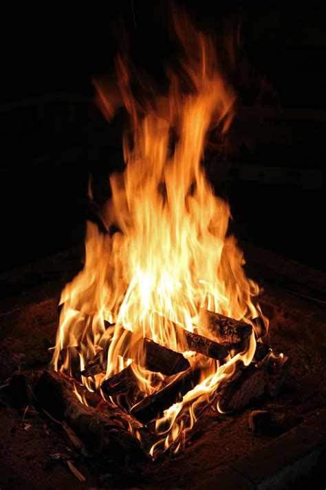 Campfire Free Photo Download | FreeImages