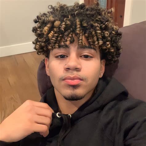 pin  stefanie damacena  emanuel highlights curly hair curly hair