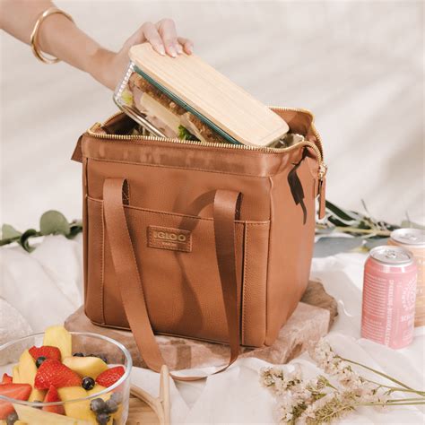 Igloo Luxe® Lunch Tote Cooler Bag Mens Lunch Bag, Lunch Tote Bag, Best