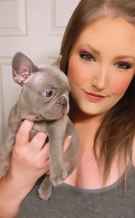 Bella French Bulldogs