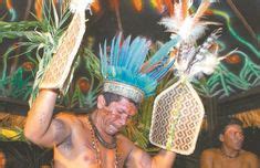 Pin on Culture Project Sateré-Mawé Bullet Ant Initiation