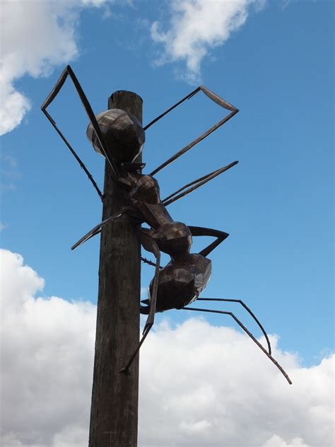 leyland sisters augathella population