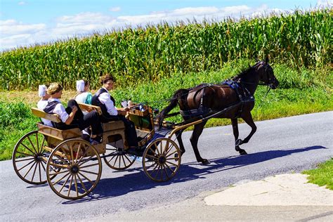 Top 10 Amish States at Manuela Frasher blog