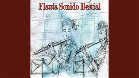 Armonia Song - YouTube