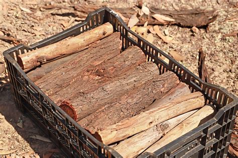 Sustainable firewood rounds — wood4good