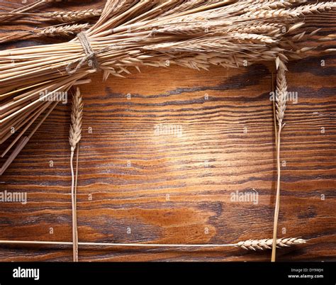 wheat  res stock photography  images alamy