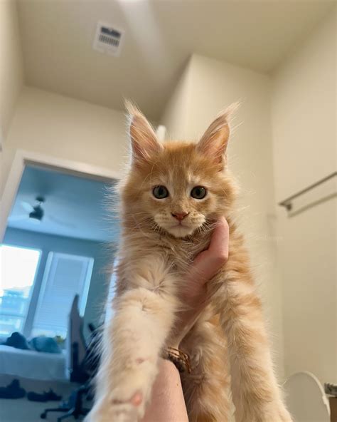 alyssa hulsey | hey :3 | Instagram