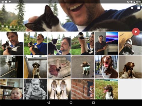 AllCast APK for Android - Download