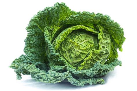 Kapusta hlávková | Farma Ráječek