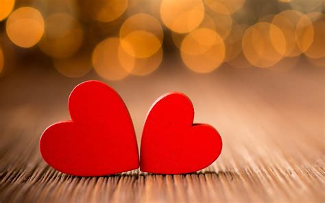 What is Love? – RedDragonfly's Blog
