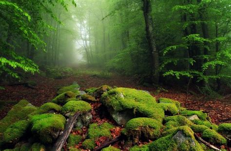 Stunning Landscape Photographs (25 pics) - Izismile.com