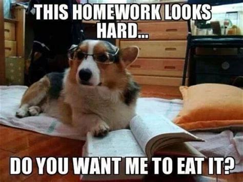 Homework Memes | Funny Memes About Homework Online