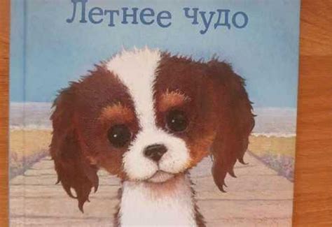 Холли вебб | Festima.Ru – частные объявления