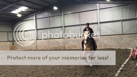 Horses that "dish" | Horse and Hound Forum