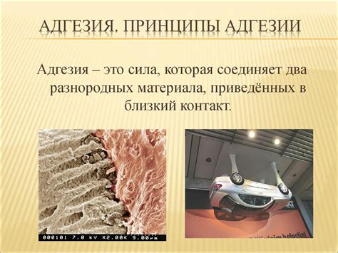 Адгезия. Условия адгезии. Стандартизация стоматологических материалов ...