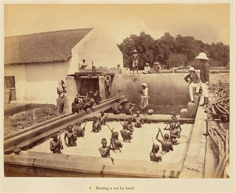 Indigo Plantation, Allahabad, India- 1877, by French photographer Oscar ...