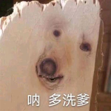 galgame