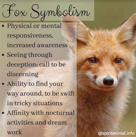 Fox Symbolism - Discover the Meaning Behind the Fox Spirit Animal