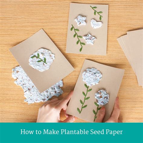 How To Make Your Own Plantable Seed Paper at Patrick Drago blog
