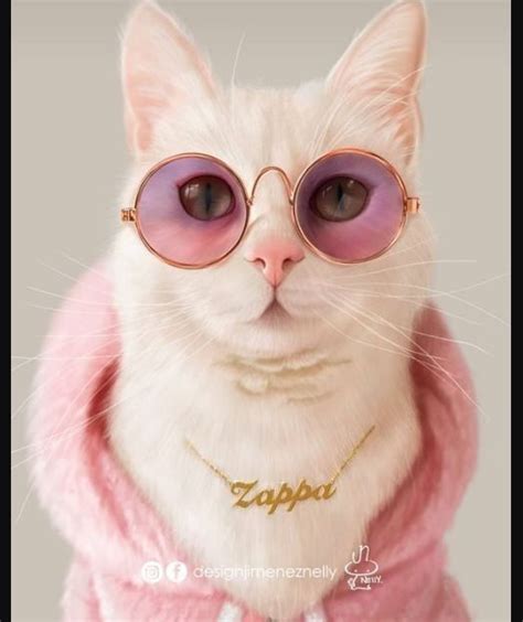 Pinterest | Gatos raros, Gatos bonitos, Perros y gatos tiernos