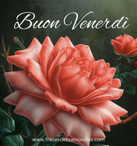 100+ Immagini di Buon Venerdi, Felice Venerdi Frasi