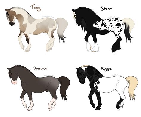 Horse Characters by Saphia-Xeno on DeviantArt