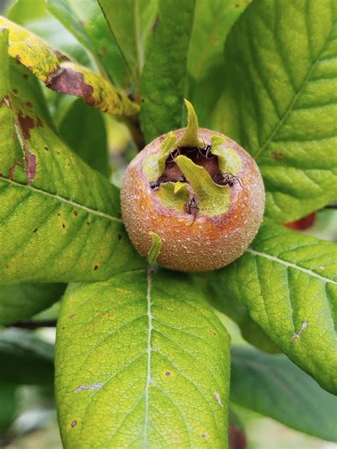 Big Tits Natural Mature Photos, Download The BEST Free Big Tits Natural