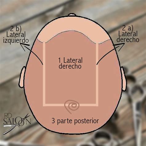 Correcta partición del cabello para realizar un corte | Curso de
