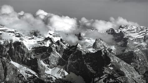 Big Natural Black Tits Photos, Download The BEST Free Big Natural Black