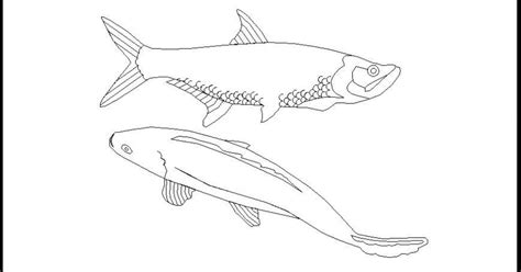 Fish 2d block - Cadbull