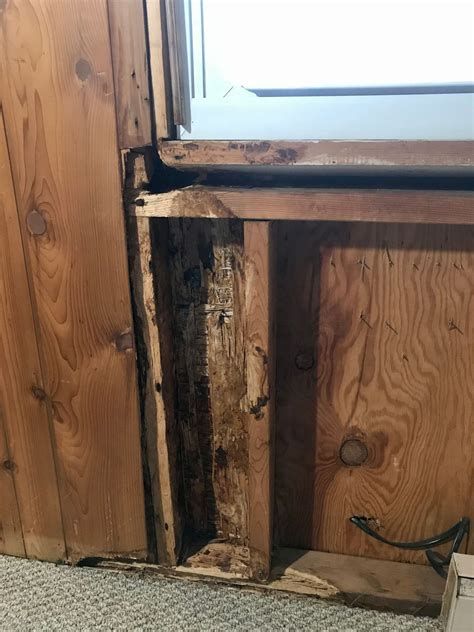 Looking for source of a leak - DoItYourself.com Community Forums