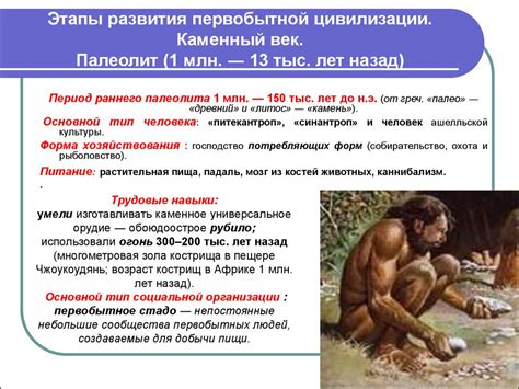 Предыстория человеческого общества - презентация онлайн