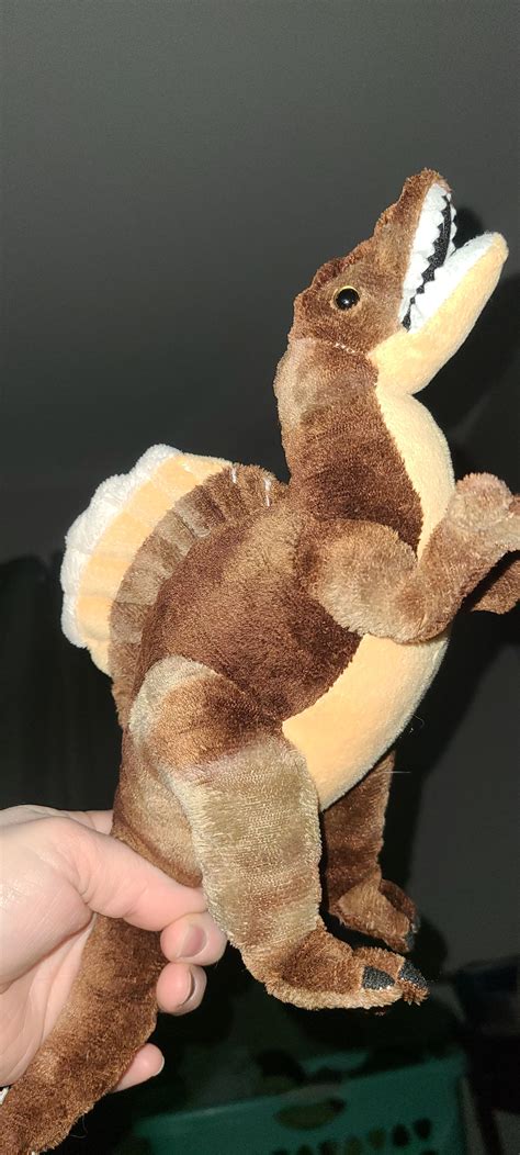 love human names  animals rdinosaurs