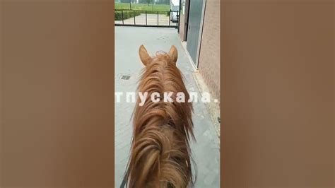 Оджей 💗 - YouTube
