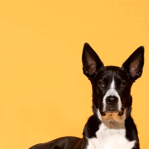 "You see, Dad," Lisa paused. "Harrison and I intend to hold the wedding