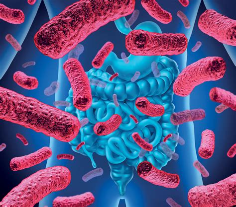 Lactobacillus rhamnosus GG (LGG), 30 años de beneficios y evidencia