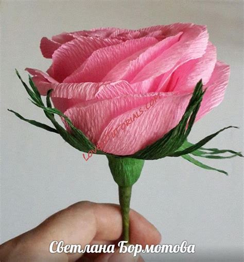 Бумажная роза, Розы, Спирали