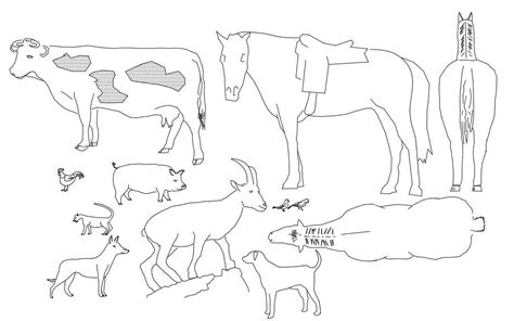 Animal Cad Block Detail - Cadbull