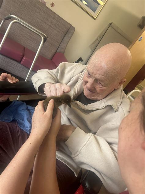 How to get emergency care at the pdsa middlesbrough 11