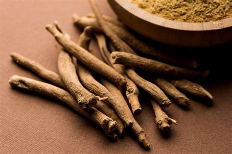 Ashwagandha: un allié précieux contre le stress