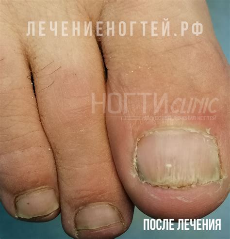 Ляшко Андрей Константинович: Отзывы