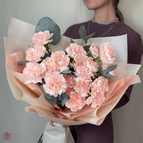 Диантусы цветы - 84 фото