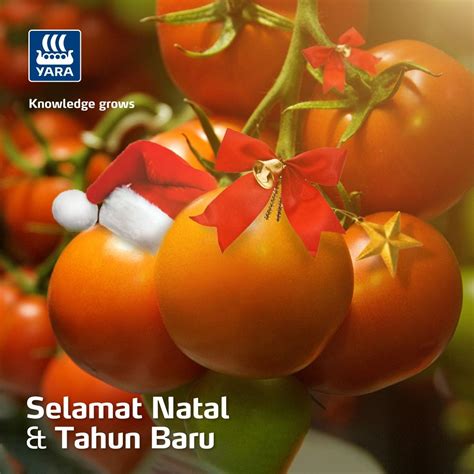 yara indonesia agriculture jakarta indonesia  reviews