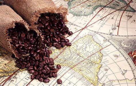 » Istorijski razvoj kafe - Tax Free - SAICAF