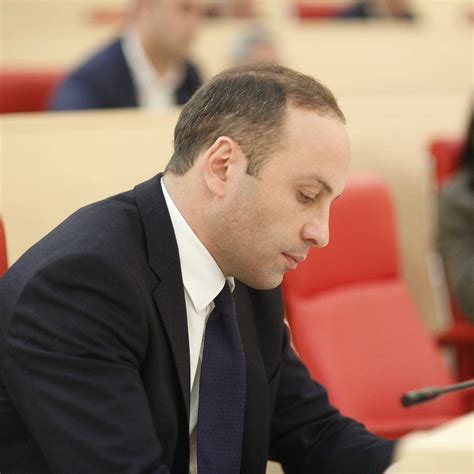 ლევან გოგიჩაიშვილი / Levan Gogichaishvili