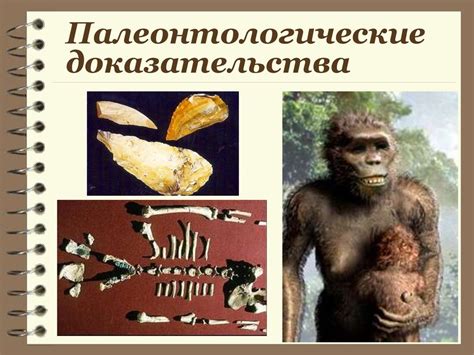 Систематика человека - презентация онлайн
