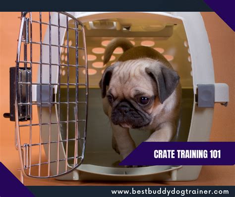 crate training